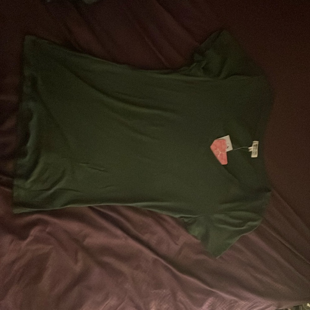 Short sleeve V-neck dark green tee shirt. Size Large from Heart to Hips.